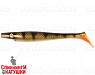 Natual Perch OB (SP-172C#140)