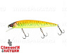 Tropical mat tiger