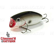Original Tennessee Shad
