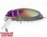 Cockchafer Oil (EG-174F#A213R)