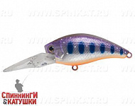 Arctic Char (JL-146#A142-264)