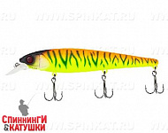 Tropical mat tiger