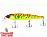 Tropical mat tiger