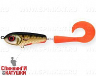 Golden Perch (EG-159#C382F)