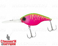 Dragon fruit mat tiger