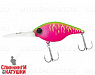 Dragon fruit mat tiger