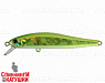 317 E.M/Shiny Lime