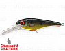 Golden Perch (EG-049LL#C382F)