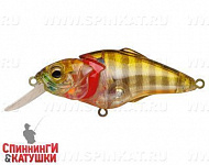 Broun Gill Transparent (EG-081BJ#A68G)