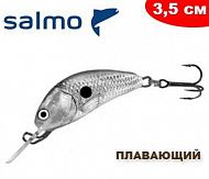 Salmo Hornet F 03