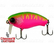 Dragon fruit mat tiger