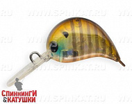 Broun Gill Transparent (JS-310#A68G)