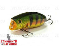 Aurora Gold Northerth Perch