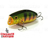 Aurora Gold Northerth Perch