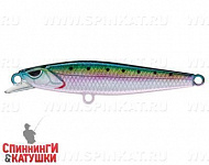 Pacific Sardine (EG-241#692-713-RP)
