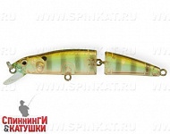Broun Gill Transparent (MG-014F#A68G)