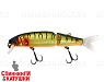 Mat gold tiger