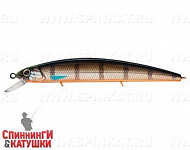 Minke Whale (EG-190B-SP#201-264)
