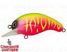 Watermelon Mat Tiger (EG-751F#A230S)