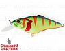 Acid Perch (EG-081CJ#A139)