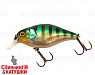 Hl Blue Gill