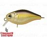 White Fry (EG-165#A262)