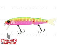 Dragon fruit mat tiger