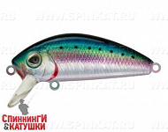Pacific Sardine (MG-002F#692-713-RP)