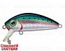 Pacific Sardine (MG-002F#692-713-RP)