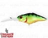 Natural Perch (EG-081A#A45T)