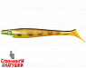 Orange Belly Perch (SP-172B#C039)