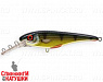 Golden Perch/Wolf Color (EG-078LL#C382F)
