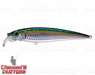 Pacific Sardine (EG-124B#692-713-RP)