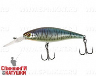 Hl Bronze Blue Pike