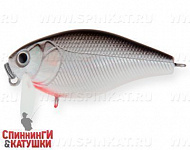 Black Back Silver (EG-164SL#A010-EP)