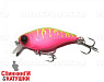 Dragon fruit mat tiger