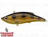 Spotted Bullhead (JL-027S#JV009F)