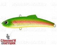 #031-Bright Trout