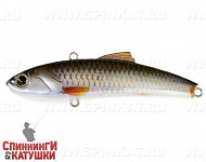 #026-NS Roach