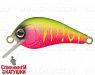 Watermelon Mat Tiger (EG-184-SP#A230S)