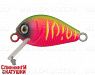 Watermelon Mat Tiger (EG-182-SP#A230S)