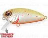 Mat Motley Trout (EG-134#A190ES)