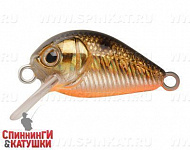 Black Back Smoked OB (EG-182-SP#613-713)
