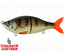Golden Perch (EG-051#C382F)