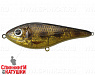 Spotted Bullhead (EG-228#C713G)