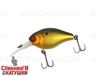 Shibu Gold & Black