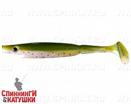 Arkansas Shiner (SP-172E#104)