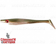 Arkansas Shiner (SP-172D#104)