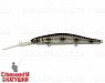Silver Spotted Bullhead (EG-193BL-SP#A249F-3D)