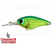 is lime chartreuse